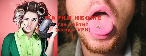 индика Бронницы
