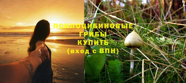 прущие крисы Верея