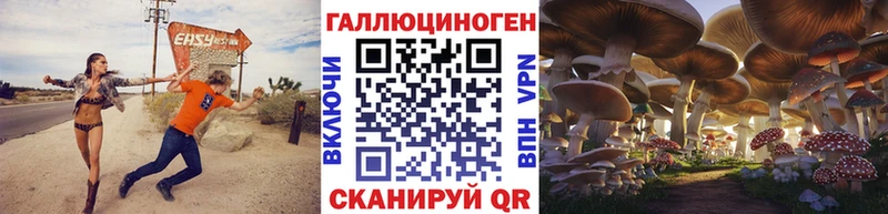 Галлюциногенные грибы GOLDEN TEACHER  даркнет какой сайт  Высоковск 